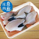 天然ウマヅラハギ 500g前後3〜8尾 生冷凍 山形県庄内浜産 カワハギ 鮮魚 食の都庄内