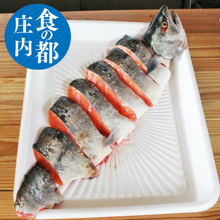 【サクラマス】半身 切り身 3月上旬より順次発送【本マス】【本鱒】【鮮魚】 直送 ギフト 山形県庄内浜産 桜マス 食の都庄内