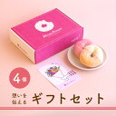 スイーツ ドーナツ【ギフトセット4個入り】送料無料 お取り寄せ 個包装 ラッピング ギフトカード プチギフト 冷凍 内祝 ギフト 誕生日 おすすめ 手作り お菓子 ドーナッツ おやつ 洋菓子 結婚祝い 出産祝い 出産内祝い お礼