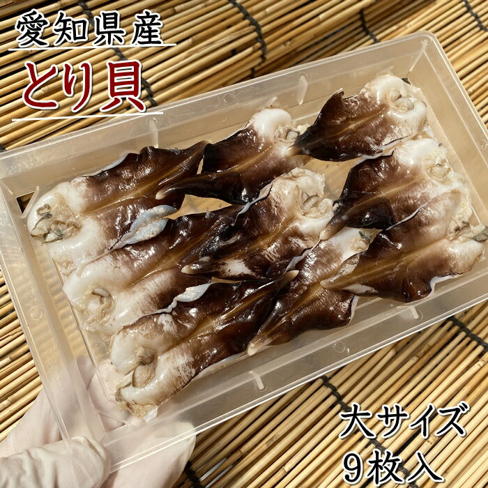 とり貝　お刺身　愛知県産　大サイズ9枚入　冷凍