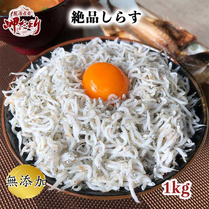 しらす　(ちりめん)1kg　【シラス】【しらす】【シラス干し】【しらす干し】【ちりめん】【チリメン】　　【愛知県産】