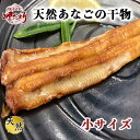 天然　あなご　干物　メジロ　めじろ　穴子（小サイズ） 50g【愛知県産】