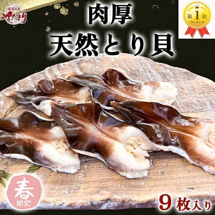 楽天ランキング1位受賞 鳥貝 とり貝 【期間限定・特別販売】【500円OFFクーポン付】とり貝 お刺身 貝 海鮮 ギフト 母の日 父の日 お中元 三河産 愛知県産 9枚入り トリ貝 ボイルとり貝 トリガイのサムネイル
