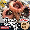 たこ タコ 干物 蛸 日間賀島産 愛知県 真蛸 天日干し 無添加 魚 干物 300g/600g