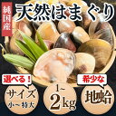 季節限定 天然 国産 ハマグリ 蛤 はまぐり 特大サイズ ひな祭り 節句 ひなまつり