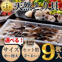 (楽天ランキング1位受賞) とり貝 トリ貝 鳥貝 冷凍 お刺身 セット 愛知県産 国産 送料無料 お刺身 愛知県 寿司 貝