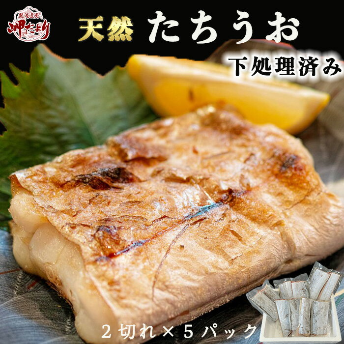 太刀魚　塩焼き用　たちうお　タチウオ　送料無料