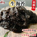 生海苔 初摘み 生のり（冷凍） 500g×4袋（2kg）【愛知県師崎産】