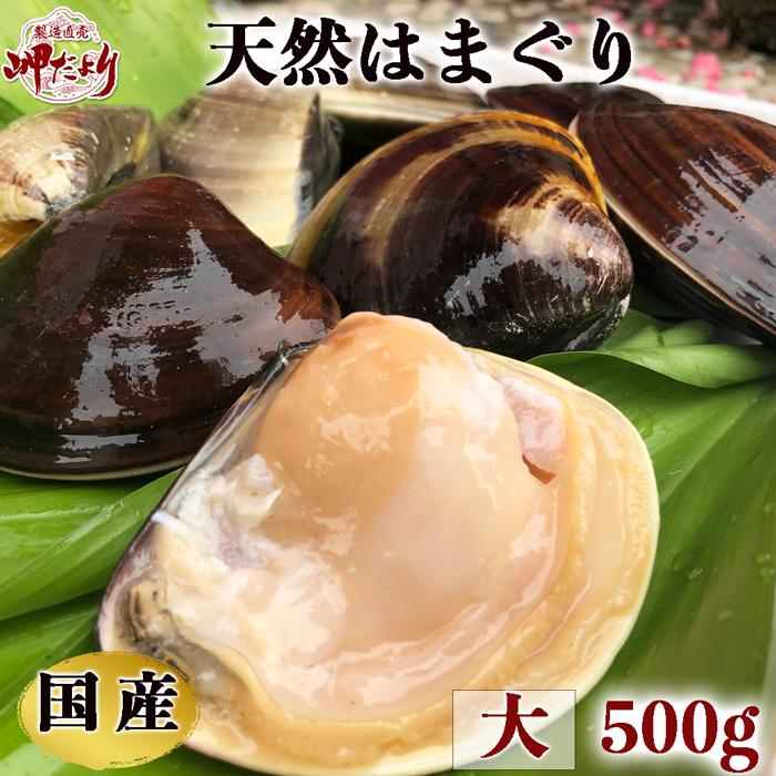 ハマグリ はまぐり 蛤 天然 国産はまぐり 大サイズ 500g 6個前後 【愛知県産】
