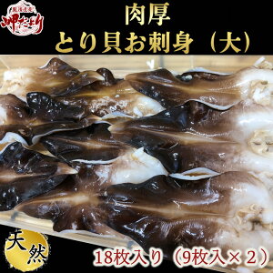 とり貝 生 お刺身 愛知県産 大サイズ9枚入×2セイロ(18枚)　新物 送料無料 35周年大SALE中！！通常5,000円→4,400円