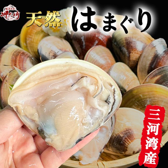 天然 はまぐり ひな祭り 特大 サイズ~ 蛤 ハマグリ 天然 国産はまぐり 中サイズ 1kg（18個前後）【愛知県産】