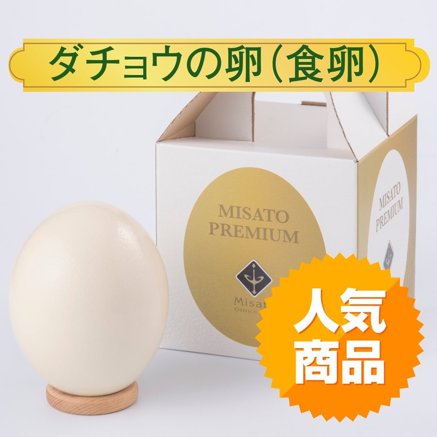 【ふるさと納税】 熊本の玉子焼き食べ比べセット 10パック プレーン ネギ入り 海苔入り カニかま入り 鰻巻き 卵焼き 玉子焼き 熊本県産 九州産 国産 冷凍 送料無料