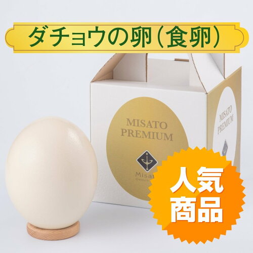 年間50個程度しか産まないダチョウの貴重な卵！ 鶏卵の20〜25個分の大...