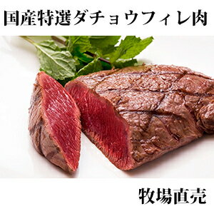 【国産ダチョウ肉フィレ300g】駝鳥　貧血　鉄分　ヘルシー　ダイエット　健康　焼肉　コレステロール　糖尿　高タンパク　BBQ　イベント　ジビエ　牛肉