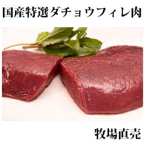 【国産ダチョウ肉フィレ300g】駝鳥　貧血　鉄分　ヘルシー　ダイエット　健康　焼肉　コレステロール　糖尿　高タンパク　BBQ　イベント　ジビエ　牛肉