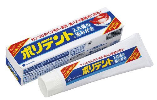 ポリデント入れ歯の歯みがき 95g ポリデント入れ歯の歯みがき 95g