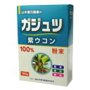 ガジュツ粉末100% 紫ウコン 100g【1個まで定形外可】