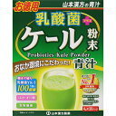 乳酸菌+ケール粉末 4g×30パック 120g【1個まで定形外可】(4)