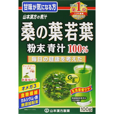 計量タイプ 100g 桑の葉青汁粉末100％ 【1個まで定形外可】