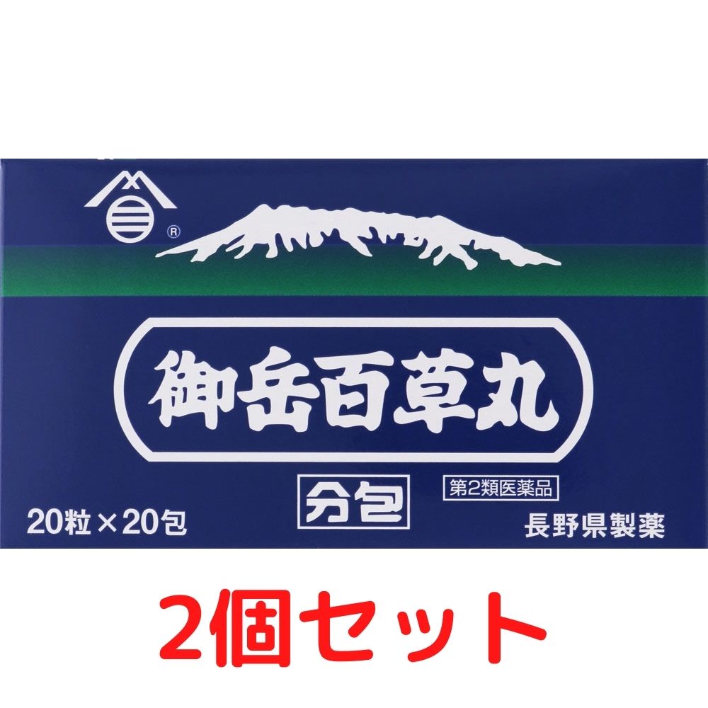 【第2類医薬品】御岳百草丸分包 20包 2個セット【定形外郵