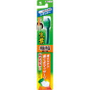 生葉極幅ブラシ レギュラー やわらかめ