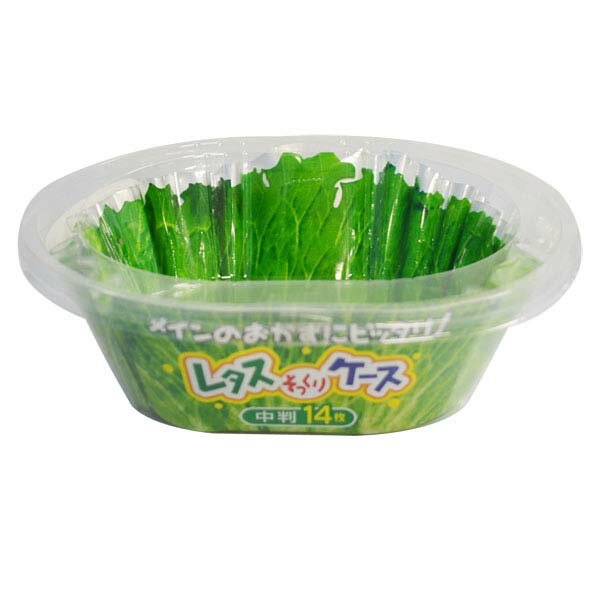 レタスそっくりケース 中判 14枚入