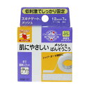 【商品説明】 「スキナゲート メッシュ」は、薄くしなやかな透湿性に富む不織布と透湿性に優れた粘着剤により、カブレにくさに加え、固定性を実現したプラスティックテープです。はがす時の痛みが少なく、角質を守ります。【ご注文前に確認ください】ご注文数量を多くいただいた場合、複数梱包となることがございます。その場合の送料は【送料単価×梱包数】を頂戴しております。また、「発送目安：約3-5営業日」とご案内しておりますが、こちらより遅れることがございます。予めご了承くださいませ。※税込5,500円以上ご購入いただいた場合の送料無料サービスは1梱包のみです。複数梱包になってしまう場合、数量に応じ送料を頂戴します。