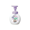 【医薬部外品】キレイキレイ 薬用泡ハンドソープ フローラルソープの香り 250ml