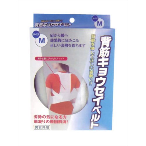 背筋キョウセイベルト [M]