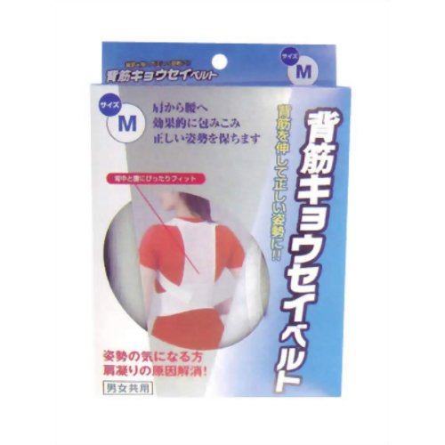 【商品説明】 「新生 背筋キョウセイベルト M」は、下着を着けるような手軽さで正しい姿勢を作る事ができます。背筋をシャキッと伸ばし、明るく健康的で若々しく見える美しい姿勢体型を保ちます。身長145-165cm、ウエストサイズ55-75cmのMサイズ。男女兼用。【ご注文前に確認ください】ご注文数量を多くいただいた場合、複数梱包となることがございます。その場合の送料は【送料単価×梱包数】を頂戴しております。また、「発送目安：約3-5営業日」とご案内しておりますが、こちらより遅れることがございます。予めご了承くださいませ。※税込5,500円以上ご購入いただいた場合の送料無料サービスは1梱包のみです。複数梱包になってしまう場合、数量に応じ送料を頂戴します。