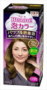 花王 ブローネ 泡カラー 2N より明るいナチュラリーブラウン 108ml
