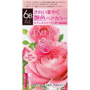 【医薬部外品】エビータ トリートメントヘアカラー 6B ダークブラウン