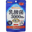 乳酸菌粒3000億個 250mg×90粒