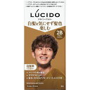 【医薬部外品】ルシード デザインヘアカラー 2B モダンブラウン 1個