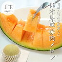 赤肉メロン 1玉(1kg以上)大玉 訳あり 熊本県産 めろん クインシーメロン