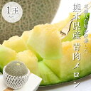 青肉メロン 1玉(1kg以上) 2玉(1玉 1kg以上) 大玉 ギフト 贈答 熊本県産 めろん ( アンデスメロン タカミメロン 肥後グリーン )