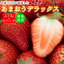 いちご あまおう ギフト 270g 2パック 福岡産 美味しい 新鮮 果物 生活 熨斗ラッピング対応 みさわの野菜