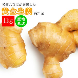 生姜 1kg 国産 黄金生姜 高知県 産 美味しい ショウガ 新鮮 熨斗ラッピング対応 みさわの野菜