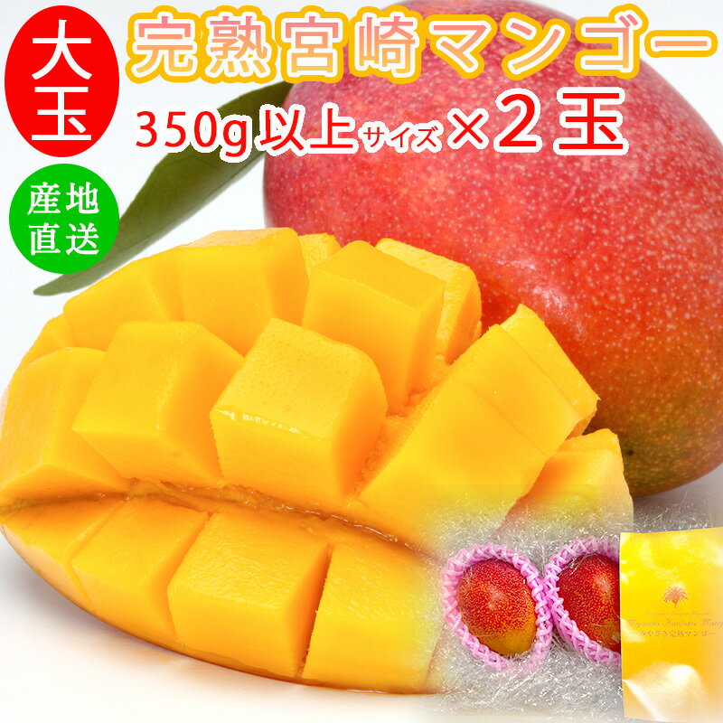 マンゴー マンゴー 宮崎県 完熟 大玉 2Lサイズ 350g x2玉 果実 みやざき