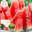小玉 スイカ 熊本県産 1玉 (1.5〜2kg) 2玉(合計3〜4kg) 化粧箱入り ギフト 贈答 すいか 完熟 西瓜