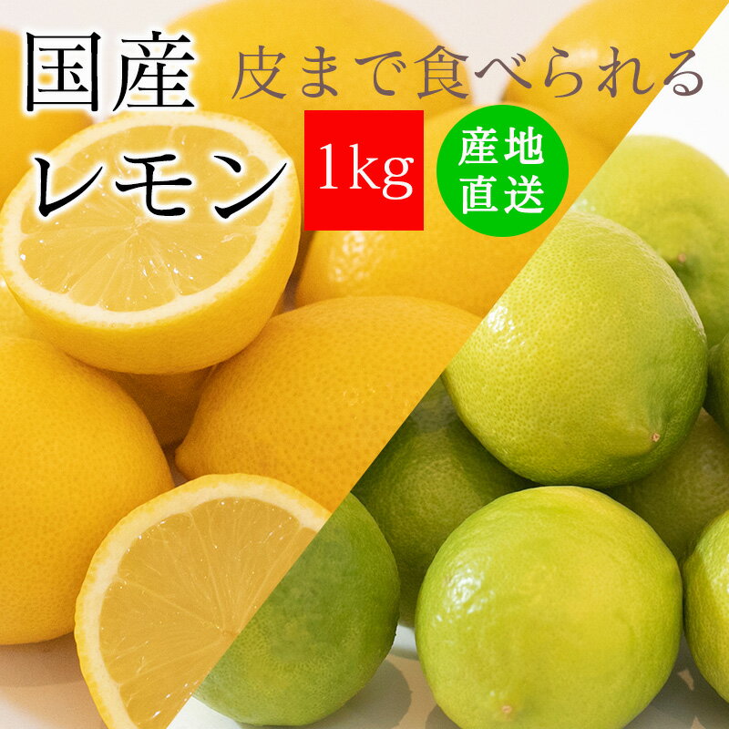 レモン 国産レモン 無農薬 訳あり 1kg ＜ 皮まで食べられるレモン ＞ 送料無料 ノーワックス 防腐剤 防カビ剤 不使用 れもん 広島県産 他 わけあり 不揃い 無農薬レモン 100％ 箱買い ワックス…