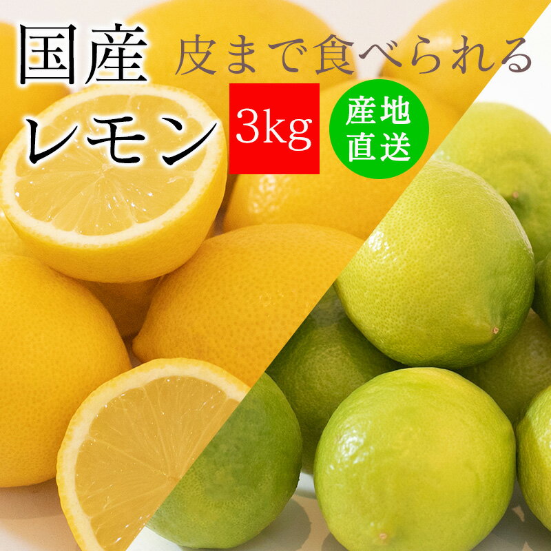 レモン 無農薬 国産 訳あり 3kg 送料無料 皮まで食べられる ノーワックス 防腐剤 防カビ剤 不使用 れもん 広島県産 …