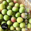 予約開始 (5月下旬頃から発送予定) 青梅 南高梅 生梅 訳あり サイズ混合( L〜3L ) おまかせ 和歌山県 1kg 3kg 10kgうめ 青うめ ご家庭用...
