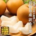 梨 訳あり ご家庭用 長野県産 3kg 5kg 10kg 品種お任せ(幸水 豊水 南水等のいずれか)なし 送料無料