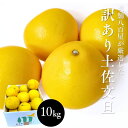 文旦 訳あり 10kg(20〜30玉前後)送料無料 土佐文旦 5kg(約15玉前後)ぶんたん ブンタン 高知県産 サイズお任せ ご家庭用 スレ 汚れ 黒点あり ...