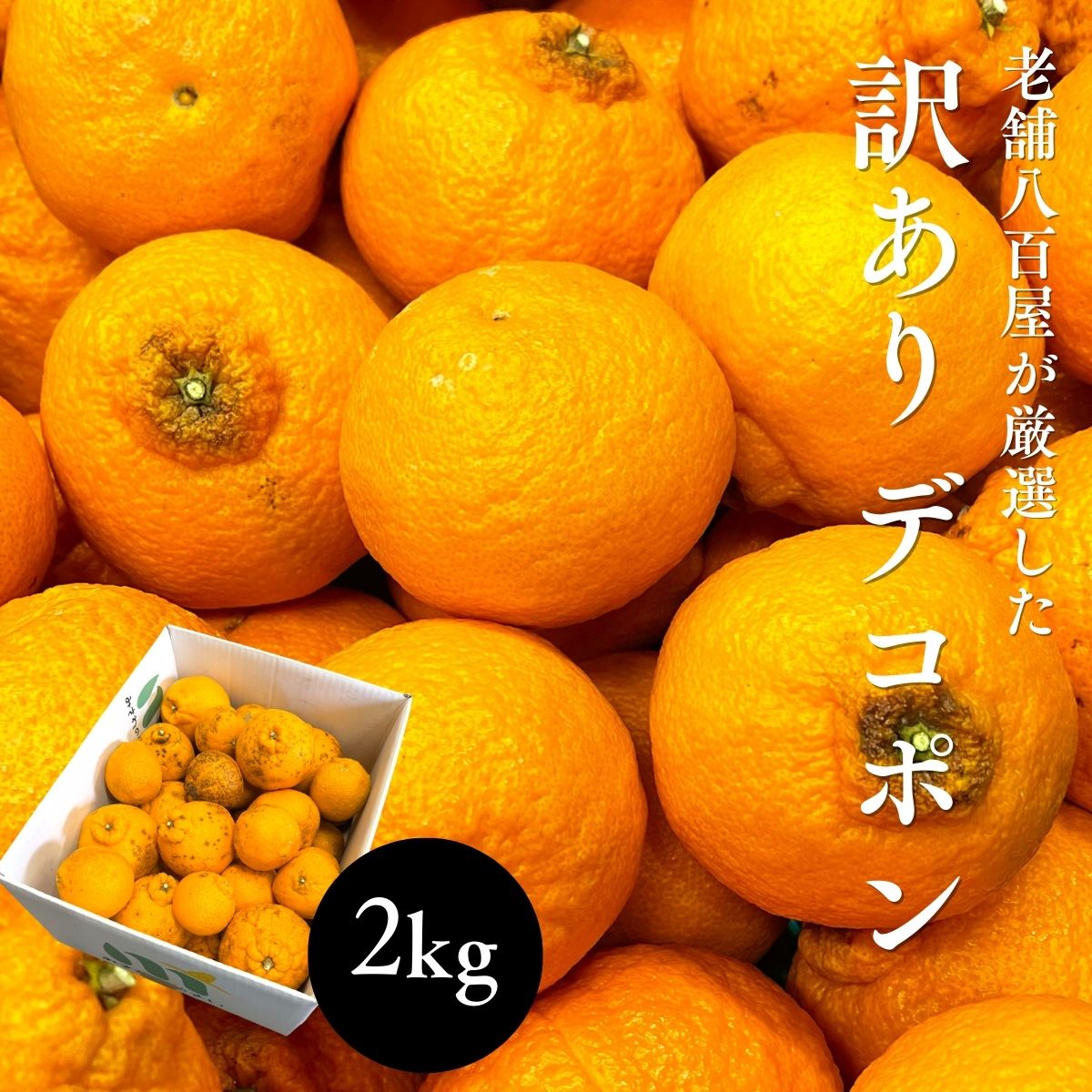 楽天市場】みかん 10kg 送料無料 訳あり(総重量(果物)2.00 楽天市場】みかん 10kg 送料無料 訳あり(総重量(果物)2.00