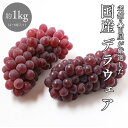 <クール便> デラウェア 約1kg 4~8房入り 約2kg 訳あり 島根県 大阪府 山形県 ぶどう 国産 小粒 糖度20度以上