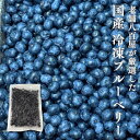 ブルーベリー 冷凍 国産 訳あり 長野県産 1kg (500g x 2) 2kg (500g x 4) ご家庭用 果実