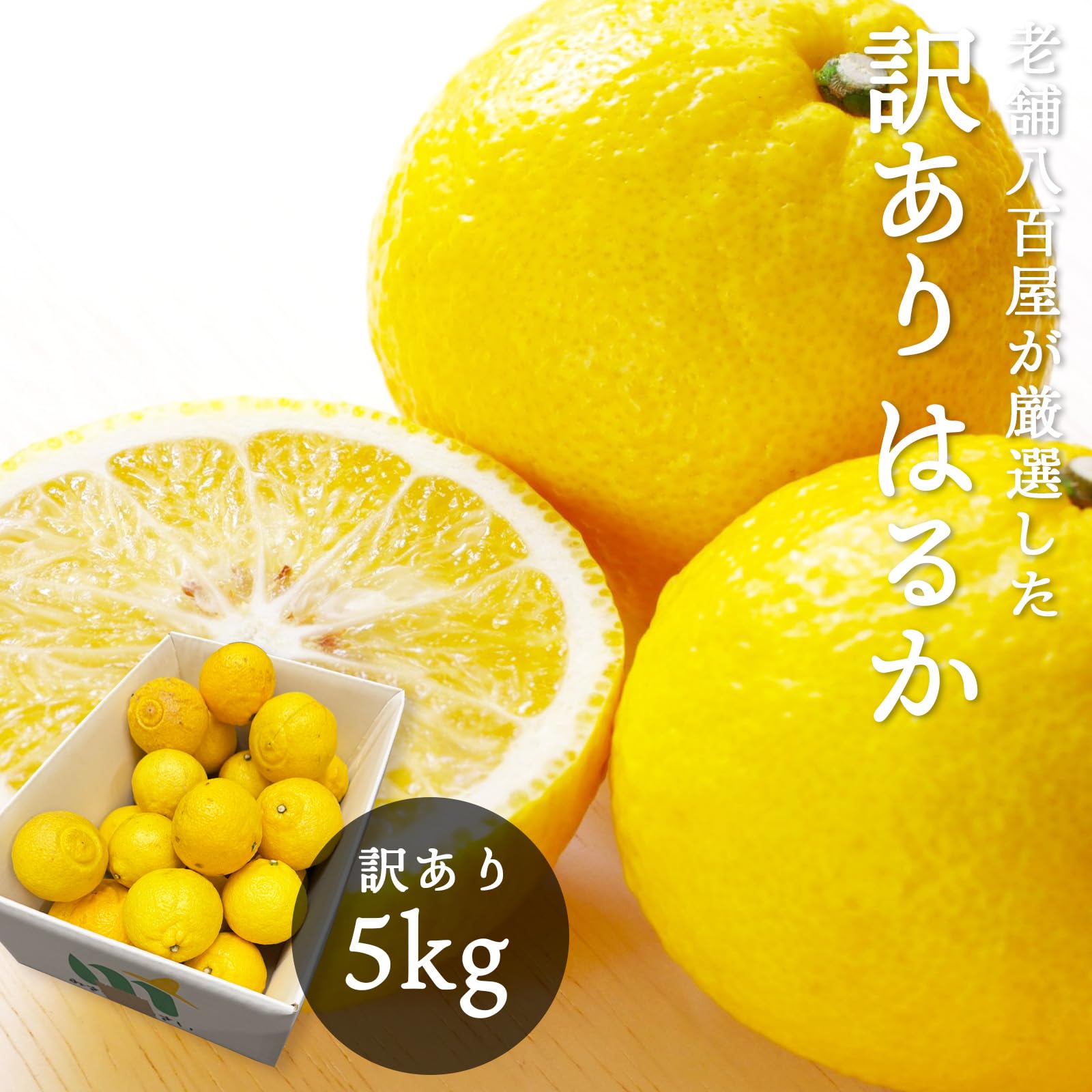 超格安価格 3月で販売終了! 箱の重さ込みで10kg 大分県産 超格安価格 3月で販売終了! 箱の重さ込みで10kg 大分県産