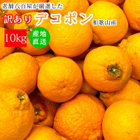 デコポン 訳あり 10kg 送料無料 和歌山 でこぽん デコぽん 不知火 しらぬい 箱入 ...